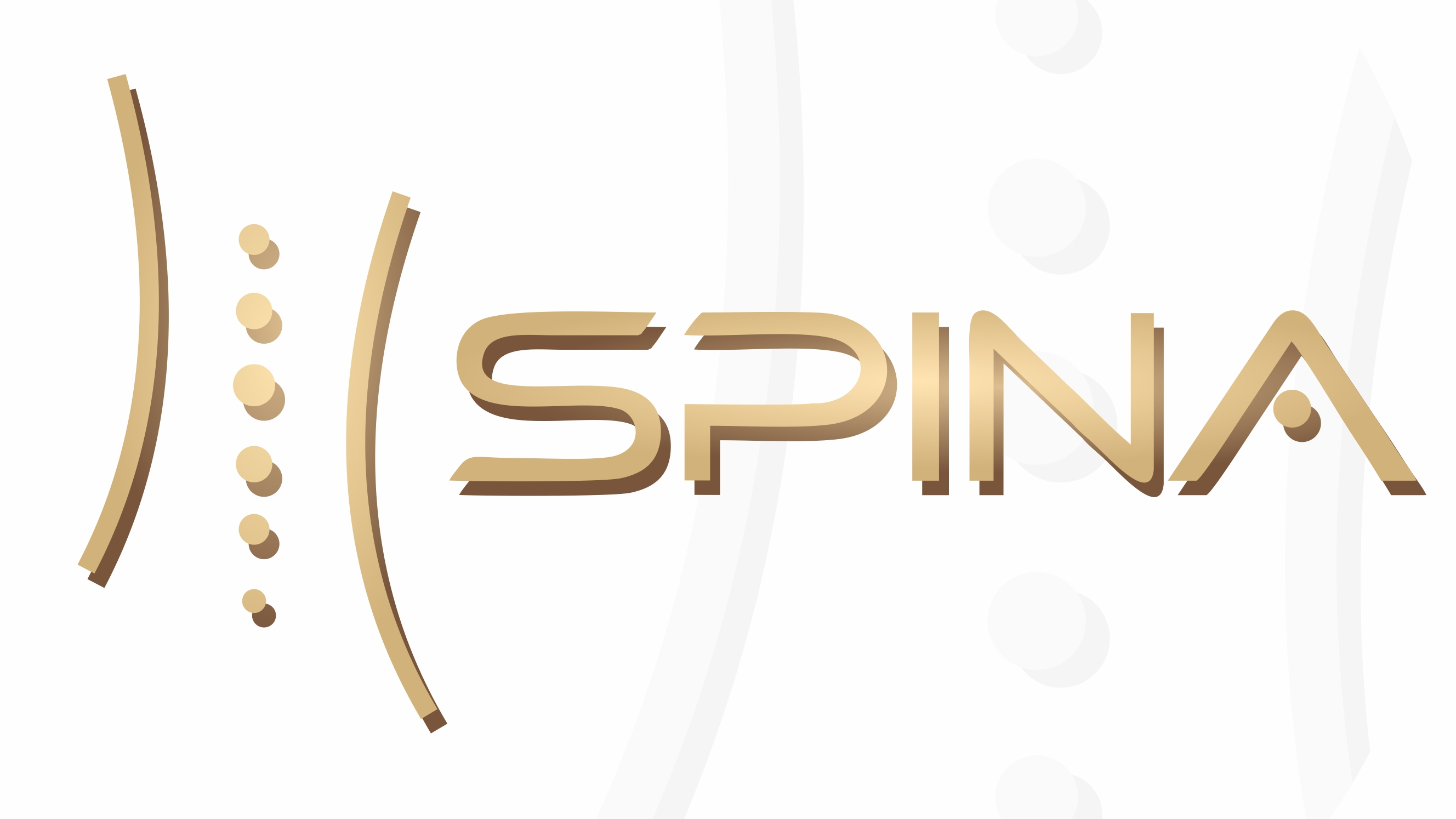 Spina на Чистопольской
